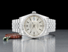 Rolex Datejust 36 Argento Jubilee 16234 Silver Lining